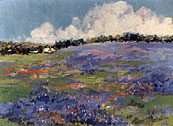 Blue Bonnet Field