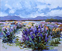 Iris Fields